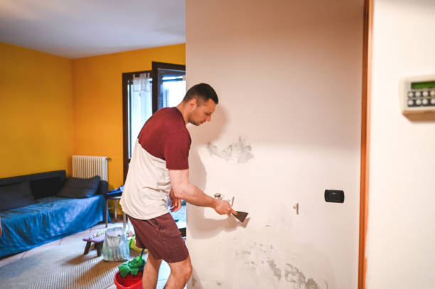 Best Mold Remediation for Specific Building Types in Minooka, IL